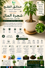 96. Money Tree ARABIC