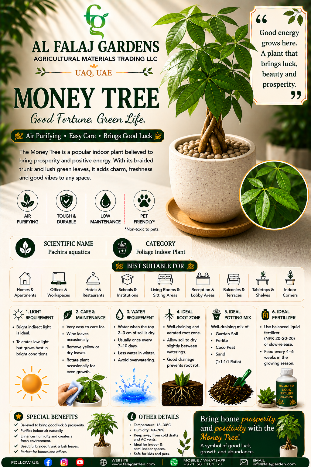 96. Money Tree ENG 96. Money Tree ENG