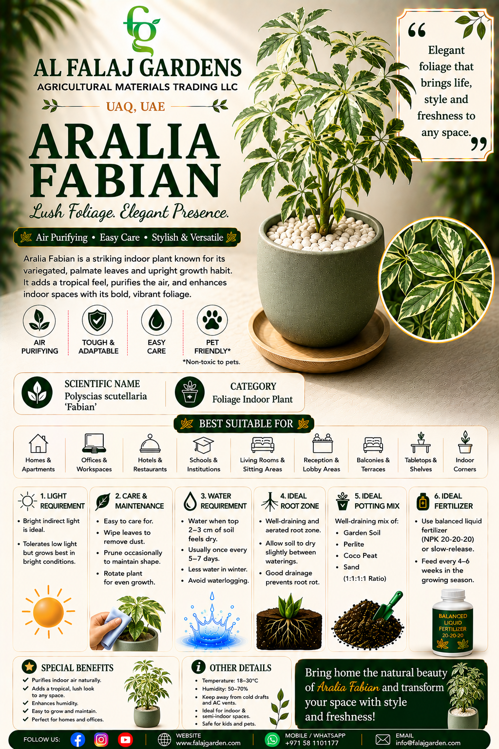 97. Aralia Fabian ENG 97. Aralia Fabian ENG
