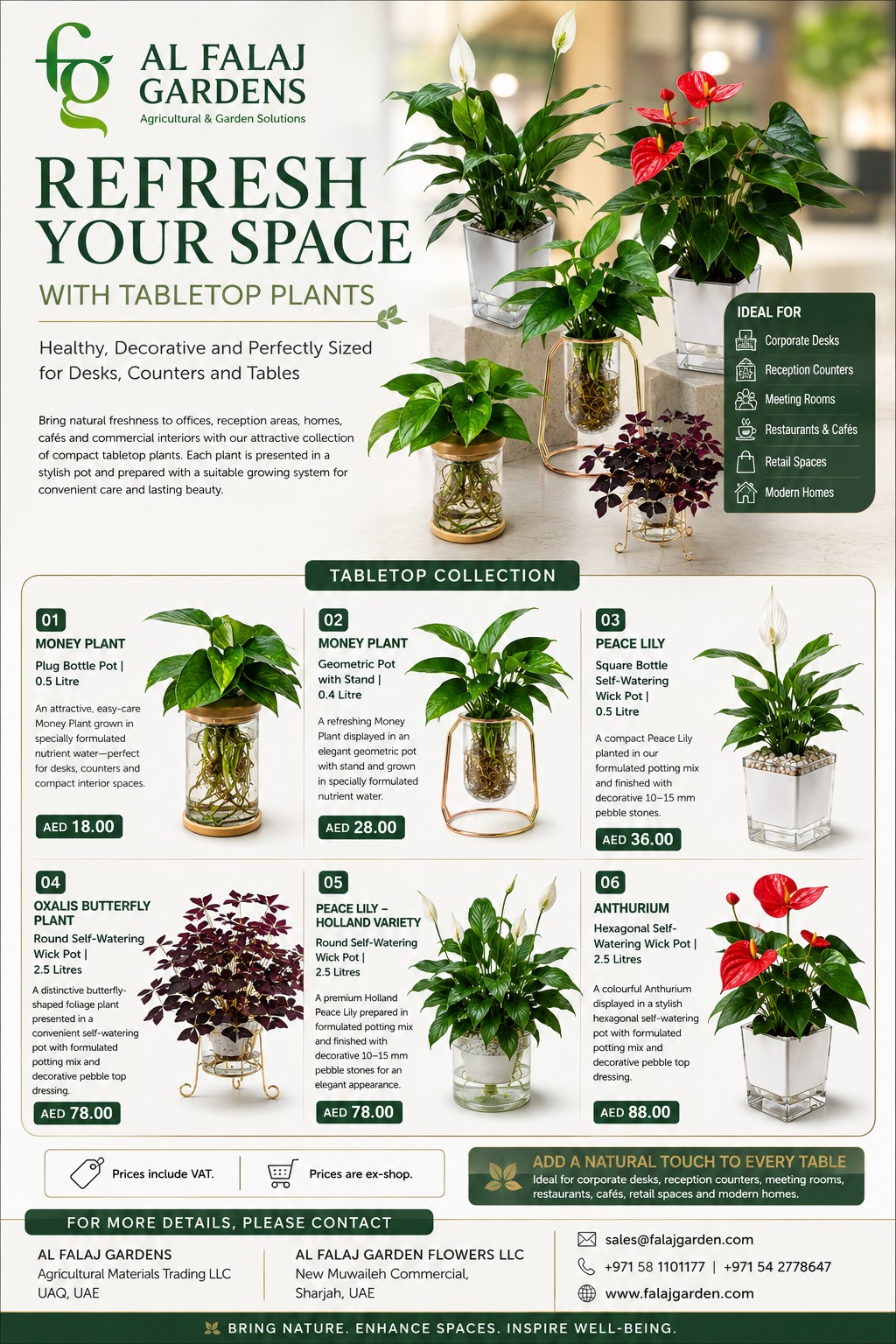 tabletop plants tabletop plants
