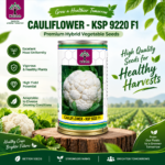 cauliflower seeds