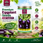 EGG PLANT SEEDS