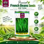 kalash french beans seeds