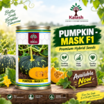 kalash pumpkin seeds