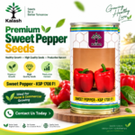 sweet pepper seeds