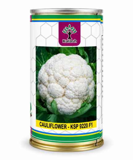 Kalash Cauliflower KSP 9220 F1 Hybrid Vegetable Seeds