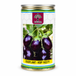 EGG PLANT SEEDS