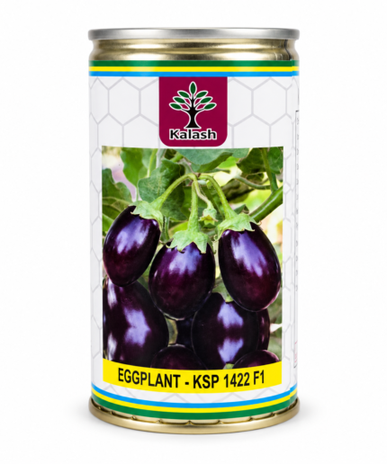 EGG PLANT SEEDS