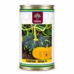 kalash pumpkin seeds
