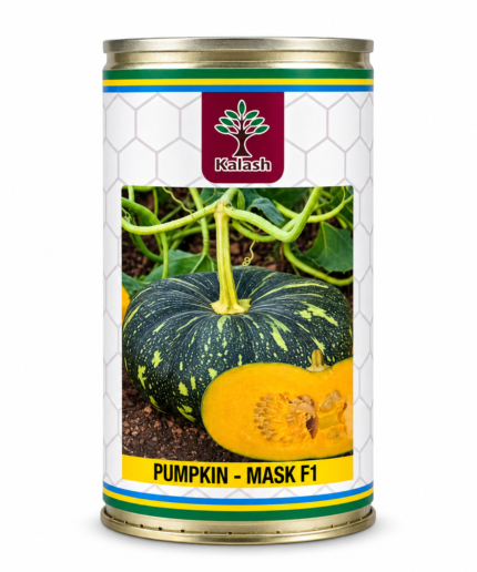 kalash pumpkin seeds