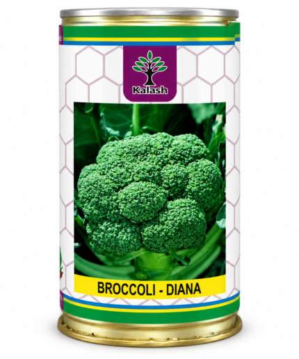 kalash broccoli seeds