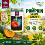 SAKI F1 pumpkin