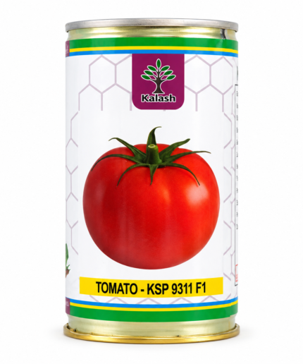 kalash tomato seeds