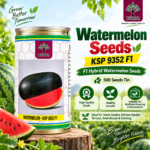 Kalash Watermelon KSP 9352 F1