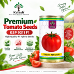 kalash tomato seeds