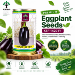 EGGPLANT SEEDS