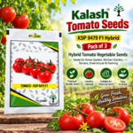 KSP 9479 seeds