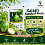 KSP 9125 seeds