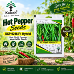 Kalash Hot Pepper Seeds KSP 9216 F1 Hybrid