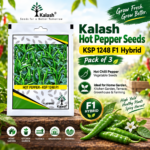 kalash hot pepper seeds