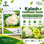 kalash cauliflower seeds