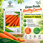 Samson F1 carrot seeds