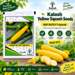 kalash yellow squash seeds