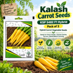kalash carrot seeds