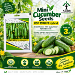mini cucumber seeds