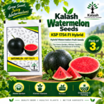 watermelon seed