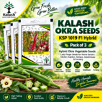 okra seeds