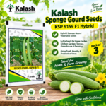 sponge gourd seeds