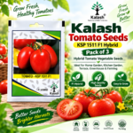 tomato vegetable seeds