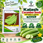 cucumber seed