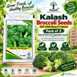 broccoli seeds