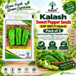 sweet pepper seed