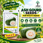 Kalash KSP 9172 F1 Hybrid Ash Gourd Seeds.