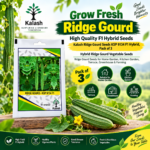 ridge gourd seeds