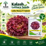 lollo rossa lettuce seeds