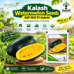 Kalash Watermelon Seeds KSP 1937 F1 Hybrid, Pack of 3