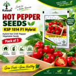 hot pepper seeds