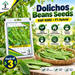 Kalash Dolichos Beans Seeds KSP 9382 F1 Hybrid,