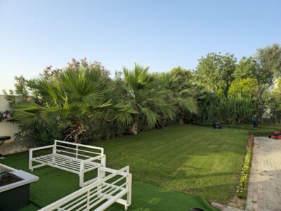 landscaping