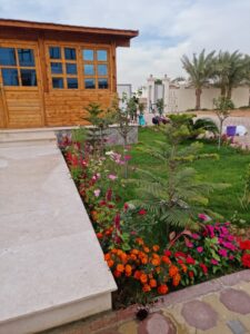 landscaping