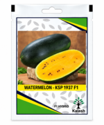 watermelon seeds