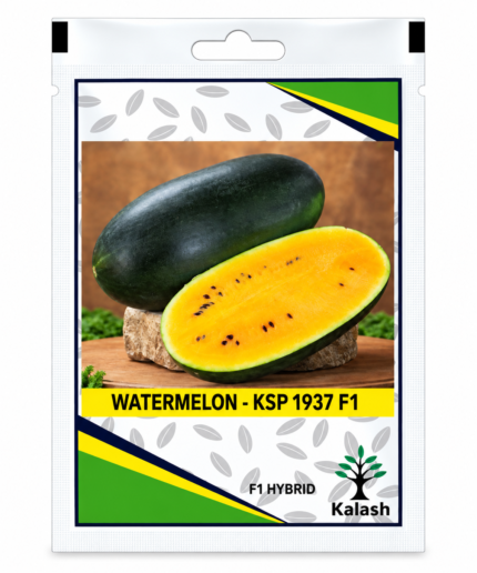 watermelon seeds