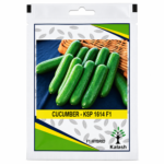 cucumber seeds