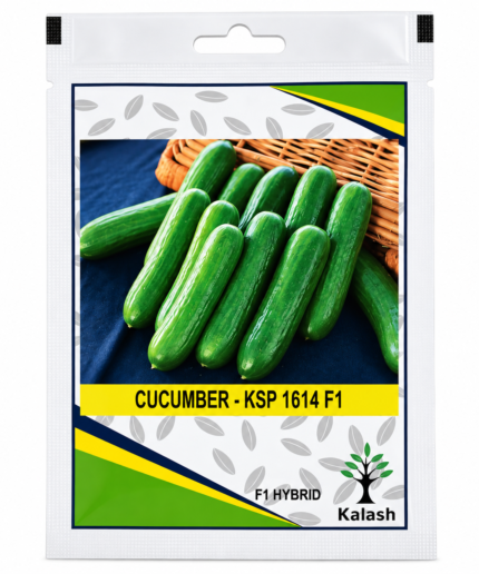 cucumber seeds
