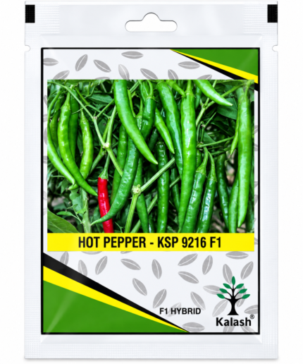 kalash hot pepper seeds