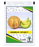 muskmelon seeds